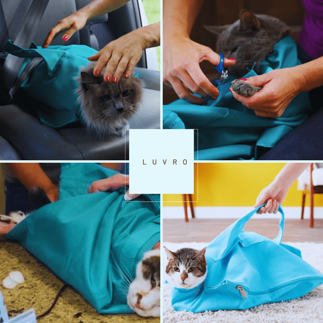 Cat Vet Visit Pouch™ - Luvro